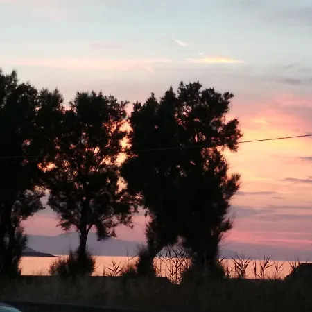Beloni And * La Canée